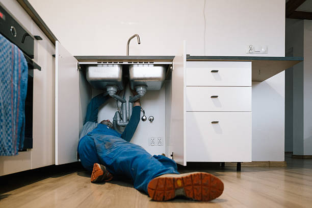 Professional Plumbing technician working in Reeds, MO